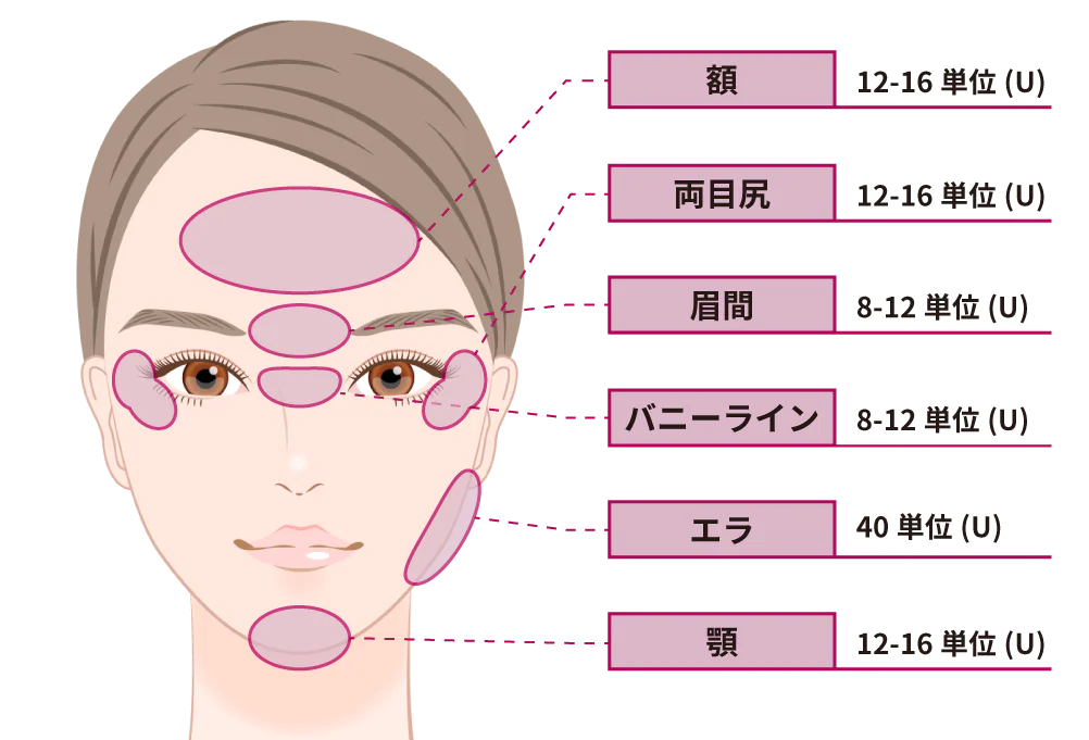 ＊部位と単位数は参考値です。必要量は個人差があるためこの限りではございません。