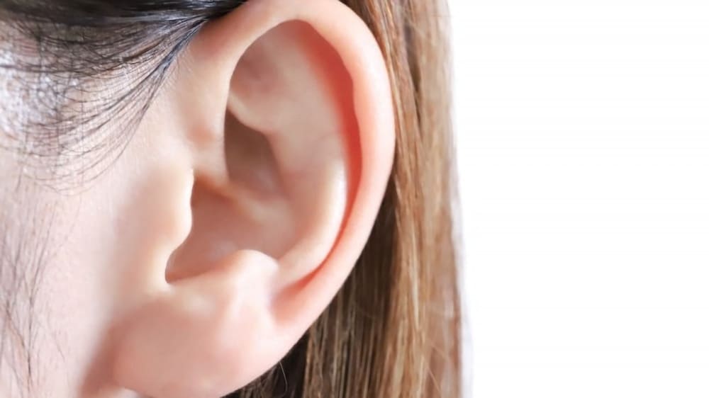 立ち耳のメリット5選！立ち耳の人の特徴・印象や耳を立たせたい際におすすめの立ち耳形成術2選も
